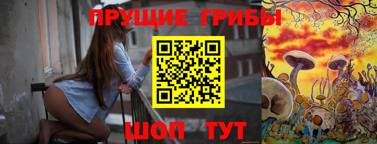 Галлюциногенные грибы Psilocybine cubensis  Вход с VPN  Добрянка 
