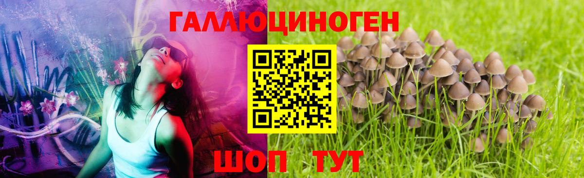 Галлюциногенные грибы GOLDEN TEACHER Добрянка